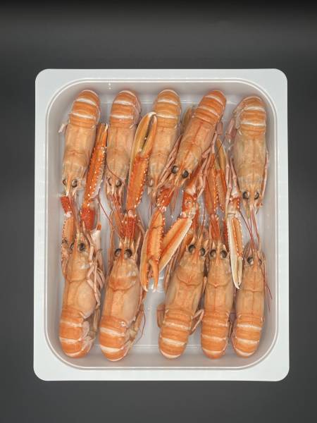 Crustafrais spécialiste de la langoustine pour les grossistes à Rungis